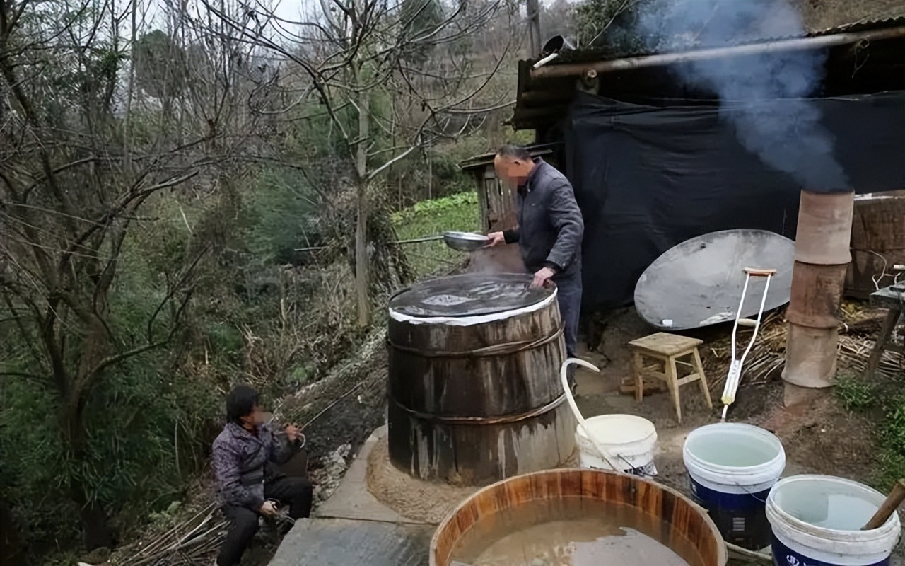 三伏天，行家建议：喝酒2喝2不喝！舒服过夏天