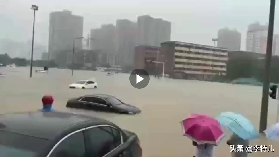 暴雨成河，比亚迪海豚秒变真海豚“河中游泳”，网友：爱车很受伤