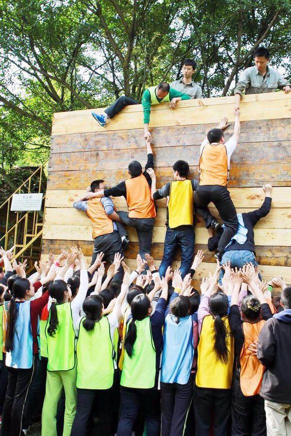 组队及口号_晶羽科技