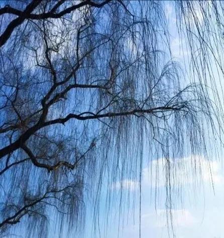 七绝·岁末杂感 (四首)