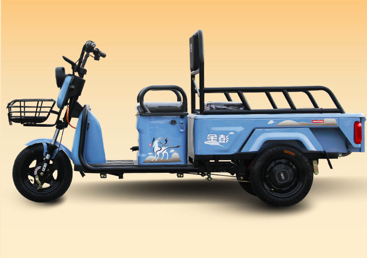金彭,小鸟的精品休闲三轮车来了,适合购物,接娃,一车多用