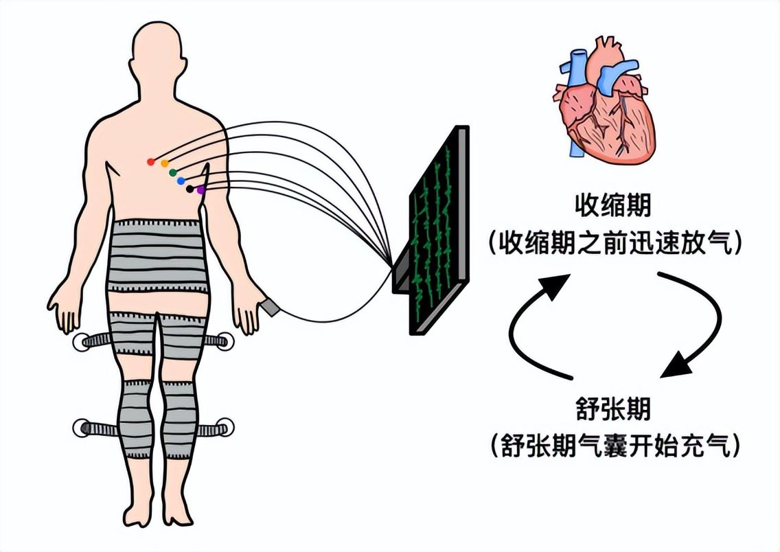 先全面评估(现代心脏功能评估新技术)