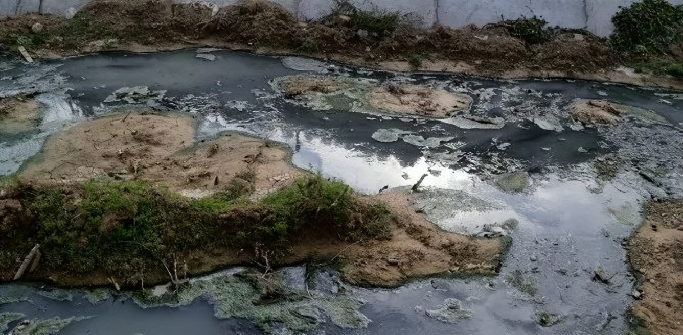 红虫本是水产育苗的好饵料 捕捞红虫现在成了非法捕捞