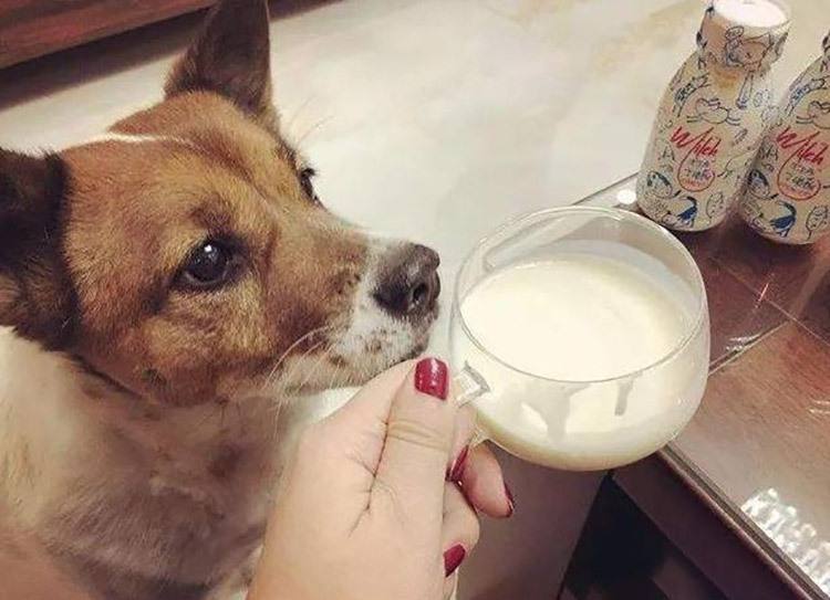 每天一杯酸奶，对身体有哪些影响？喝之前，先看看这4个注意事项