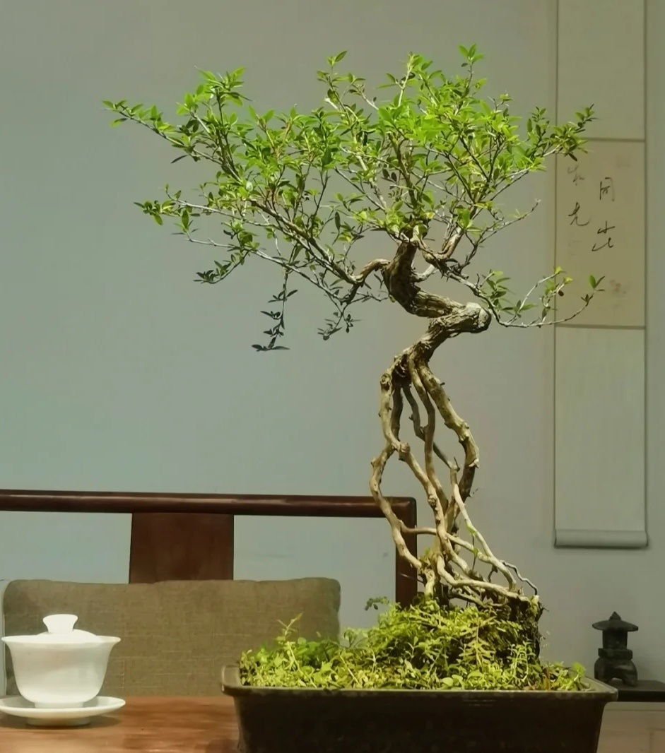 女人经常“骂你”这3句话，其实是对你表白，别傻傻不知道