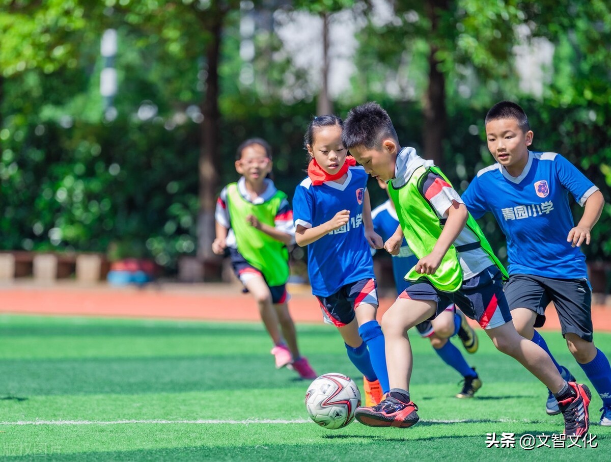 一年级体育教案全套（2022特岗教师面试试讲教案：《基本体操》（小学体育与健康））-趣拿体育