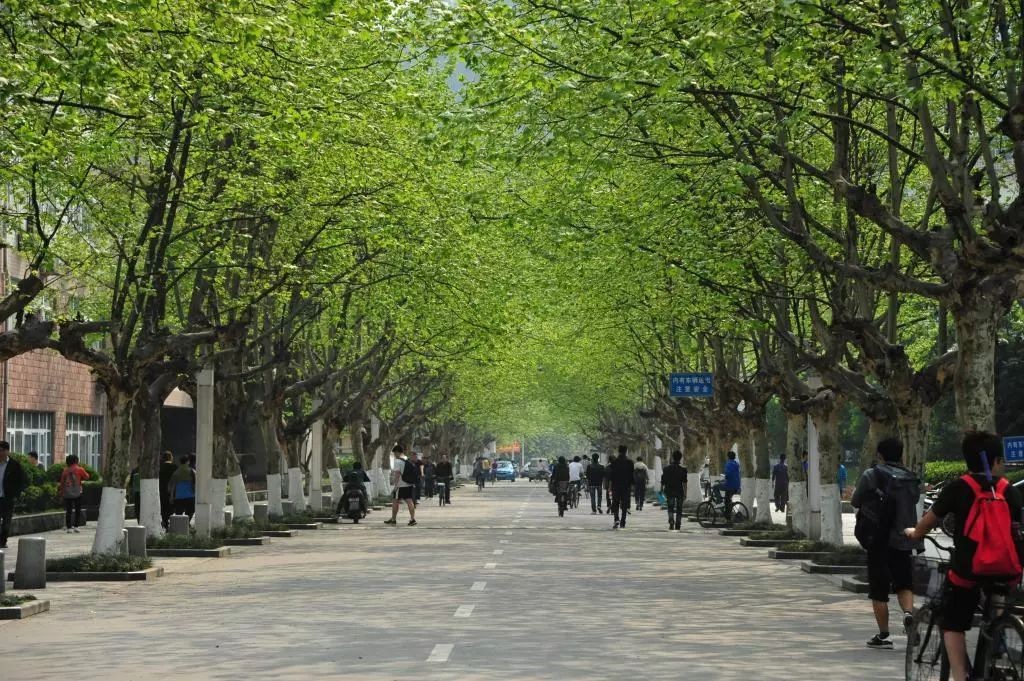 权威！教育部发布通知：四川农业大学新增3个本科专业，个个“热门”！