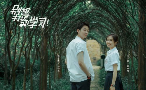 从校服到婚纱，这5部爆火的青春校园剧，你都看过吗？