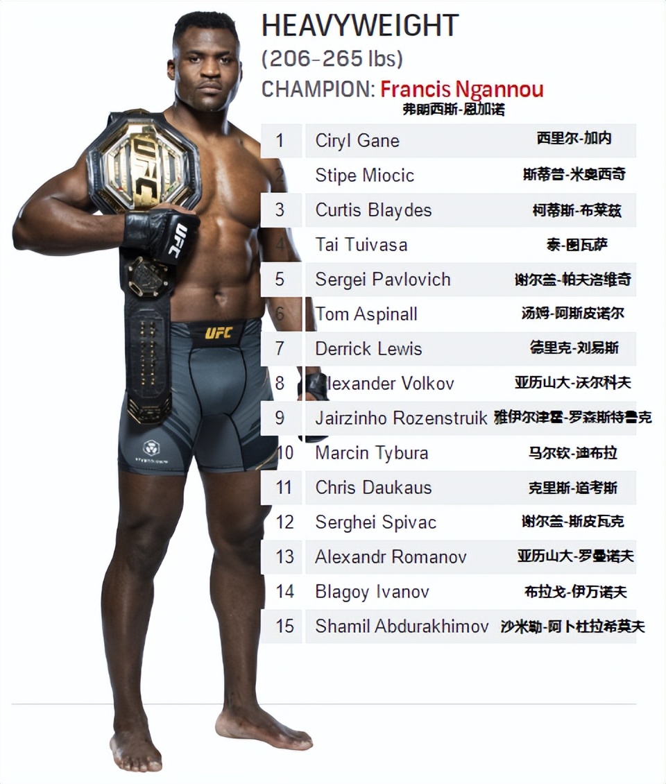 ufc排名「ufc排名前十」