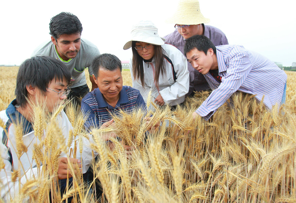 最新15所双一流大学被黄牌警告，2022年录取分数会“暴跌”吗？