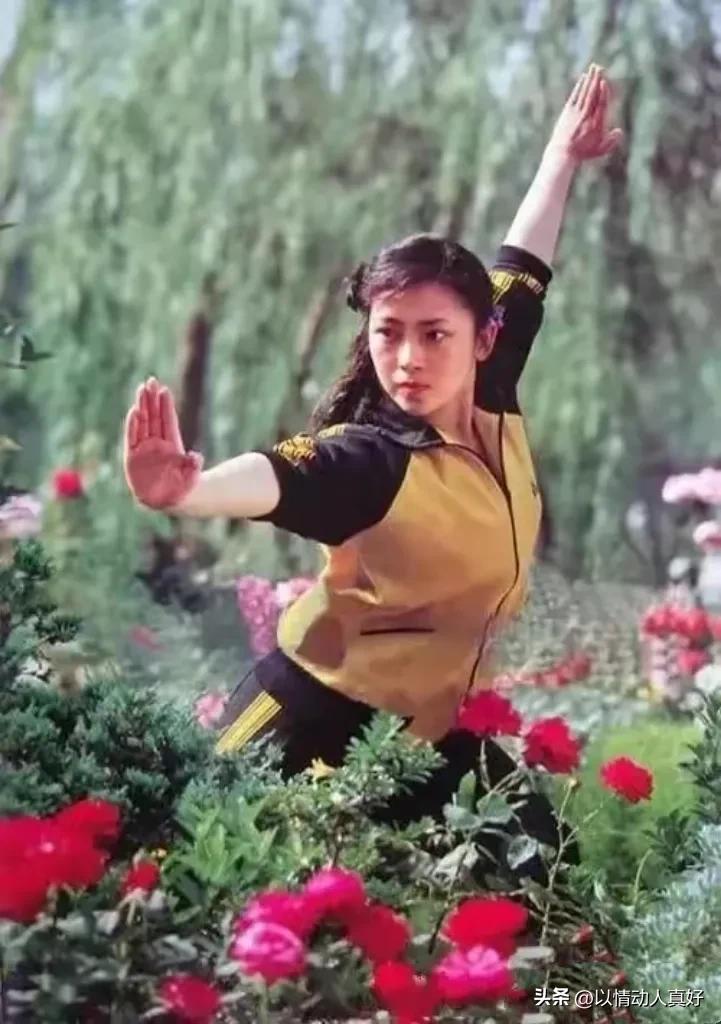 黄飞鸿之龙城歼霸国语版全集(甄子丹演《江山美人》，赵文卓演《青河绝恋》，李连杰更愧对女人)
