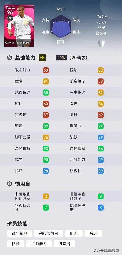 卡纳瓦罗什么水平（实力与颜值兼备！身高不到1米8的卡纳瓦罗，巅峰时期竟如此强悍）