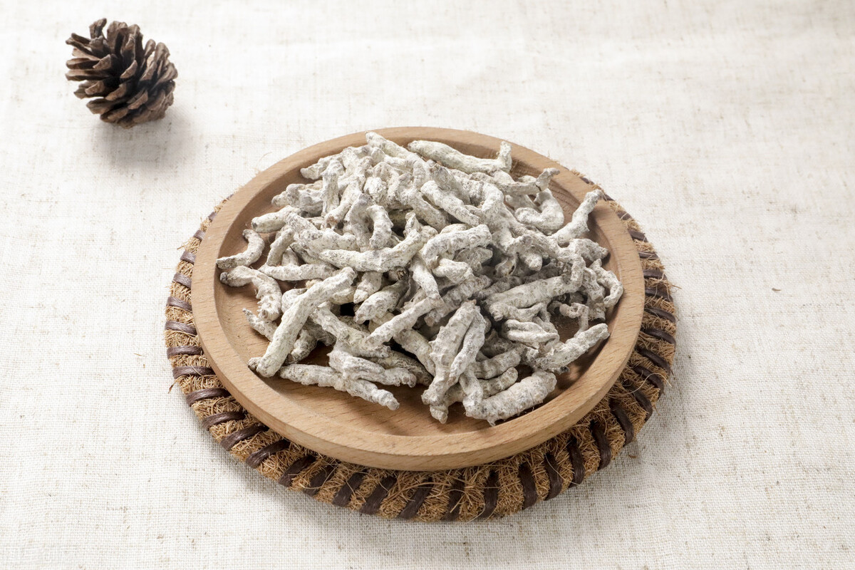 炒僵蚕的功效与作用 炒僵蚕的好处