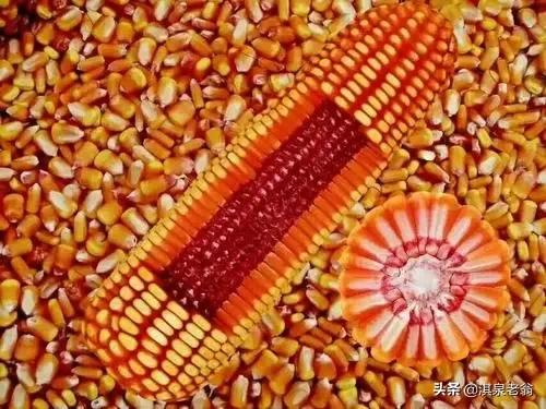 告诉你几个促进作物质优产量高的‘‘施用剂’’及配方