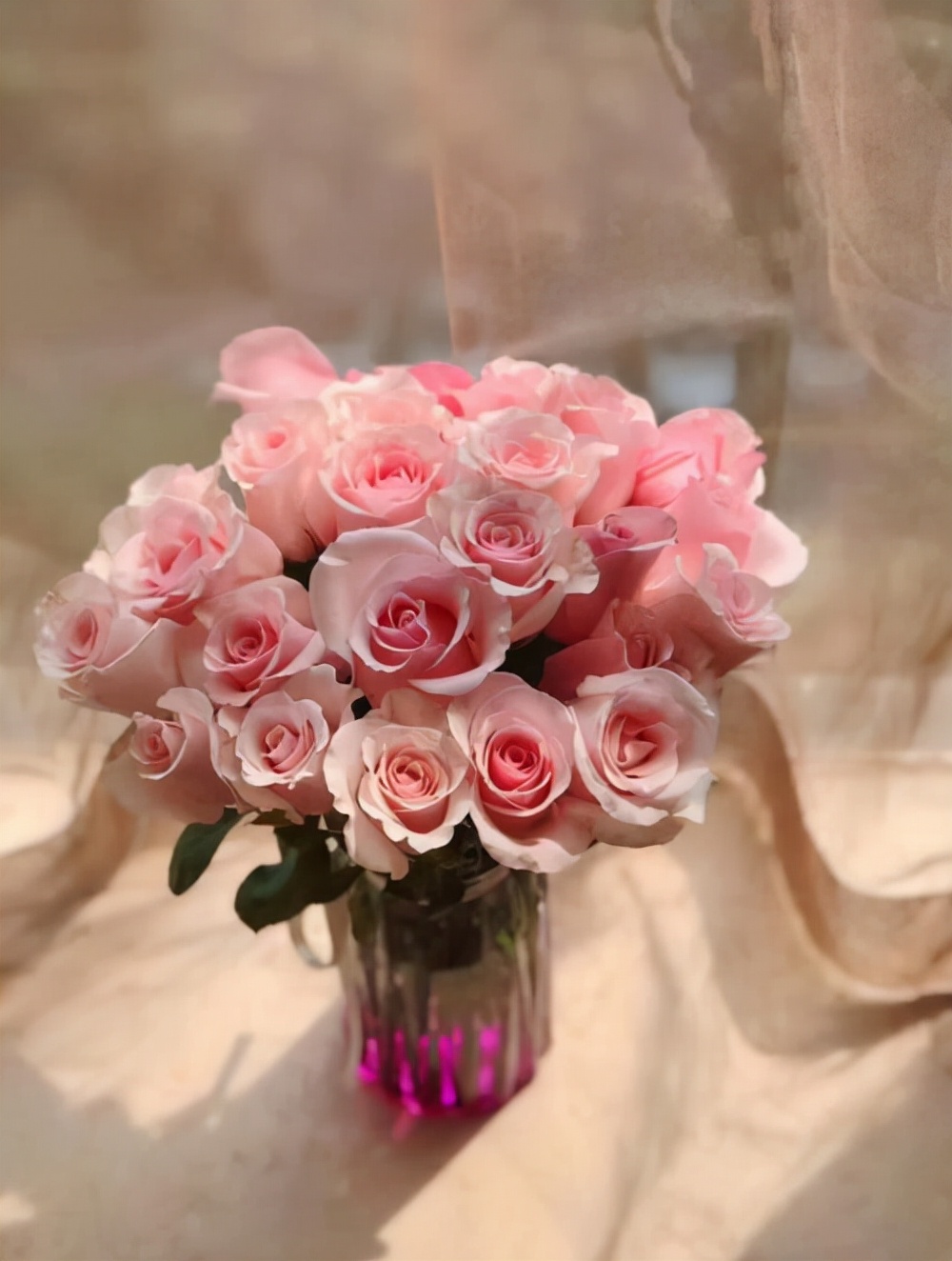 不同颜色的玫瑰花代表了不同的意思!来看看吧