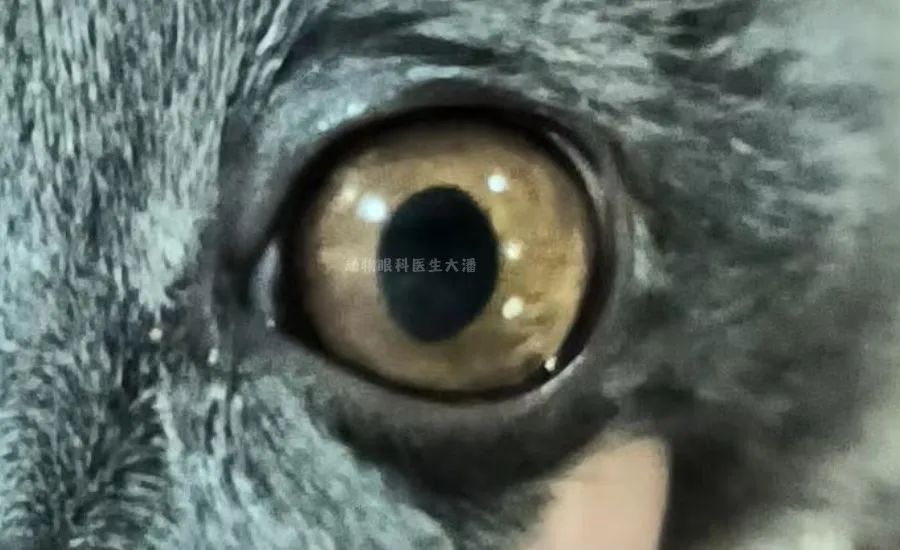 è۾׻ziè۾jing׻ͼƬ-Ѷwang