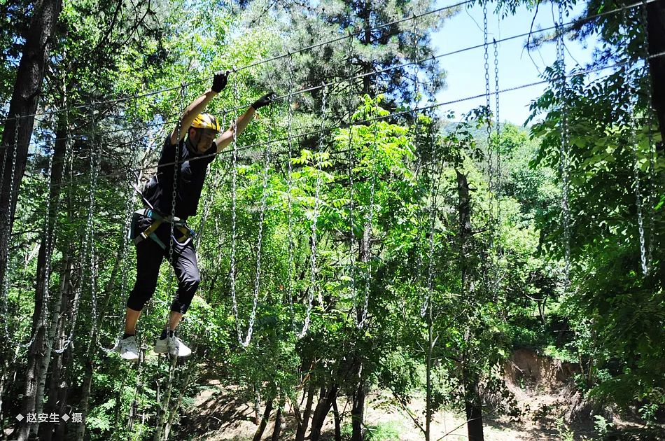 因麦积山而来 留植物园忘返！麦积山植物园带你体验丛林探险的乐趣