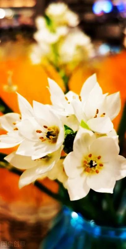 一花一世界，金牛辞旧迎虎来，鲜花带“虎”送祝福，新年幸福满满