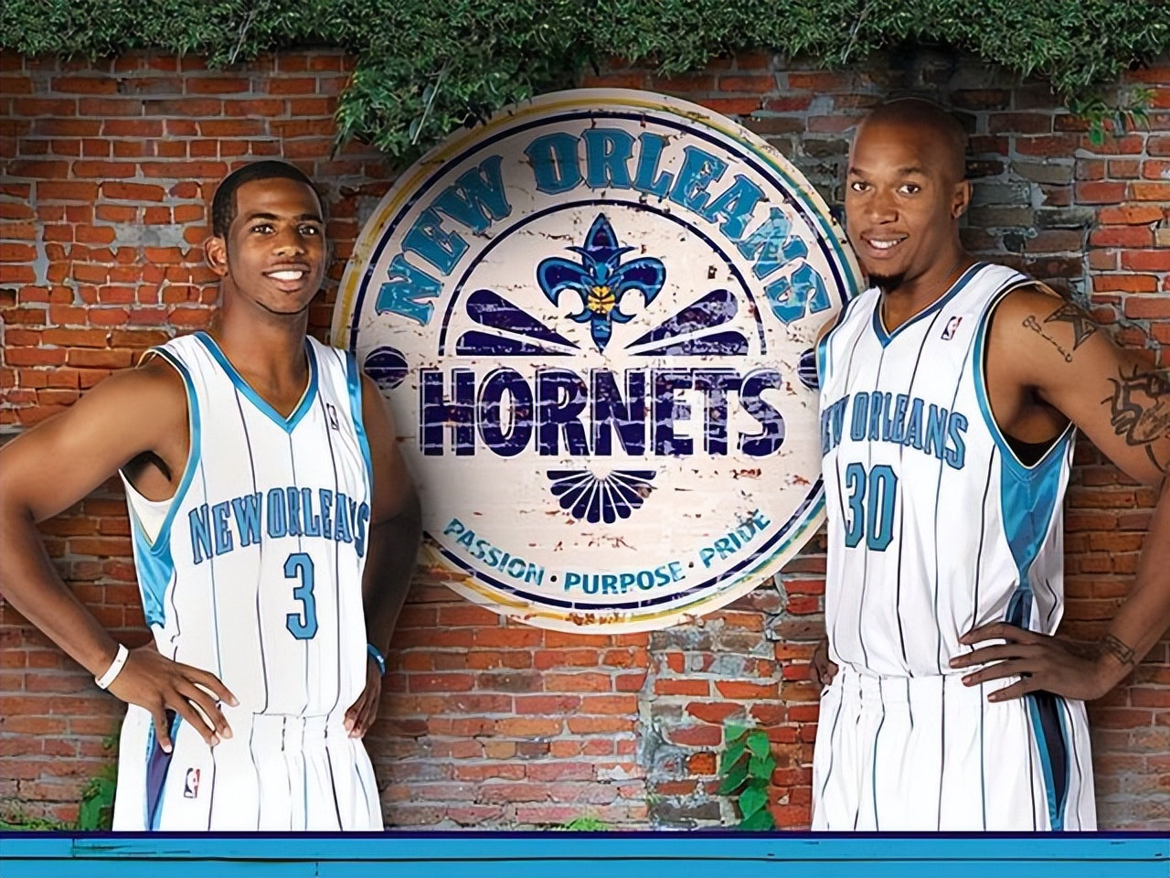 nba球队都有哪些改名（NBA球队中山猫、黄蜂、鹈鹕三个队之间的关系是怎么样的？）