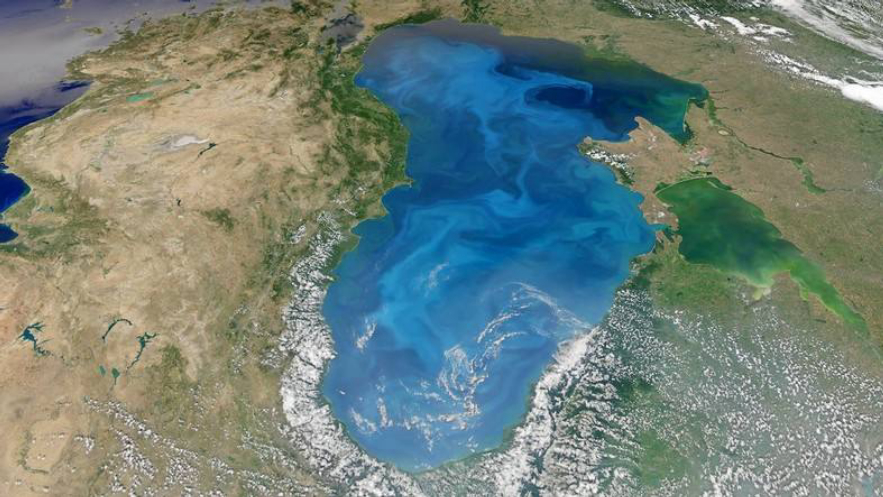 пŸɵкˮŸɺܷʲôǧ