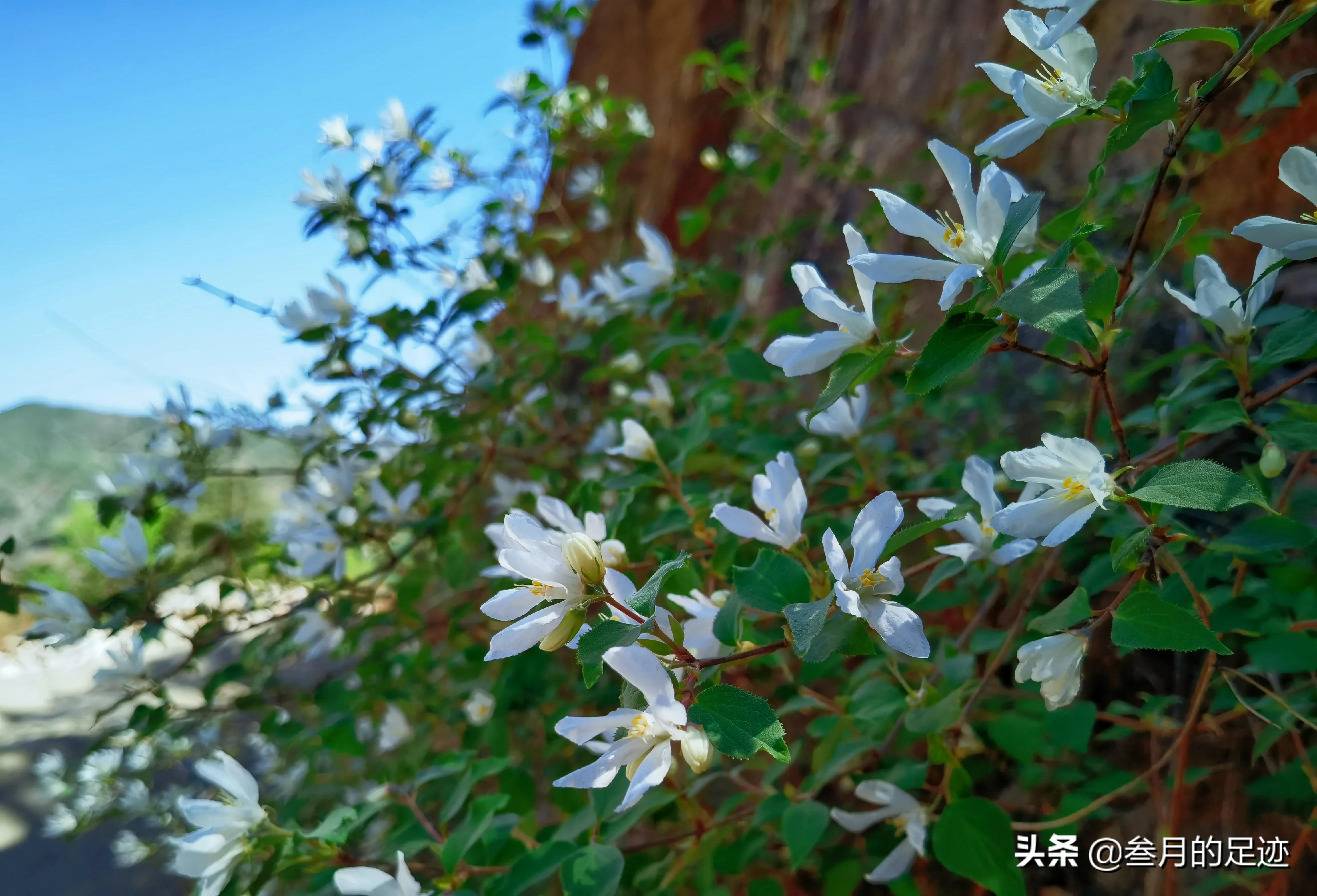 北京昌平，自驾游环线轻徒步线路，大黑山木栈道之旅