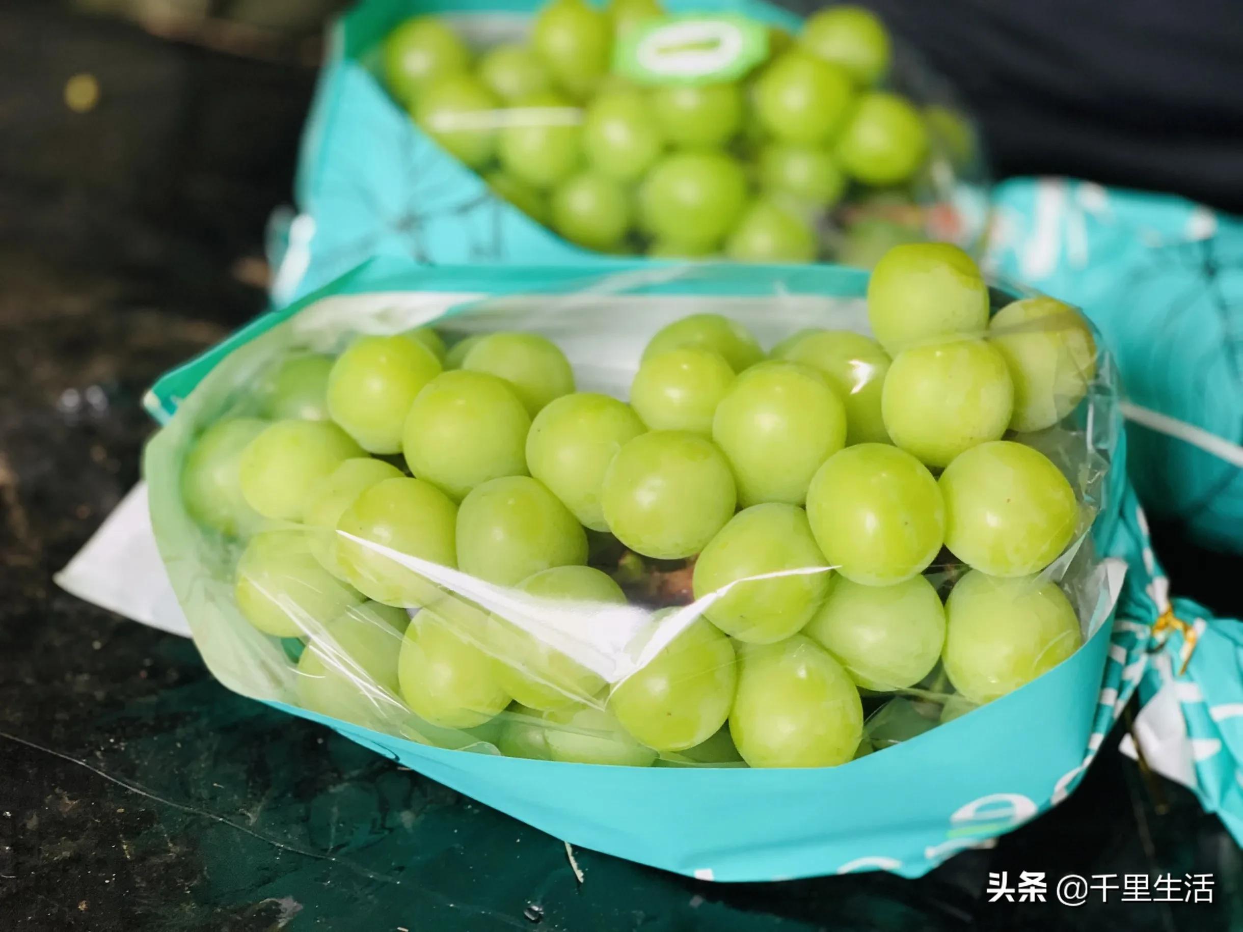 晴王和阳光玫瑰的区别 日本晴王葡萄价格-只专注一件事-否群百科