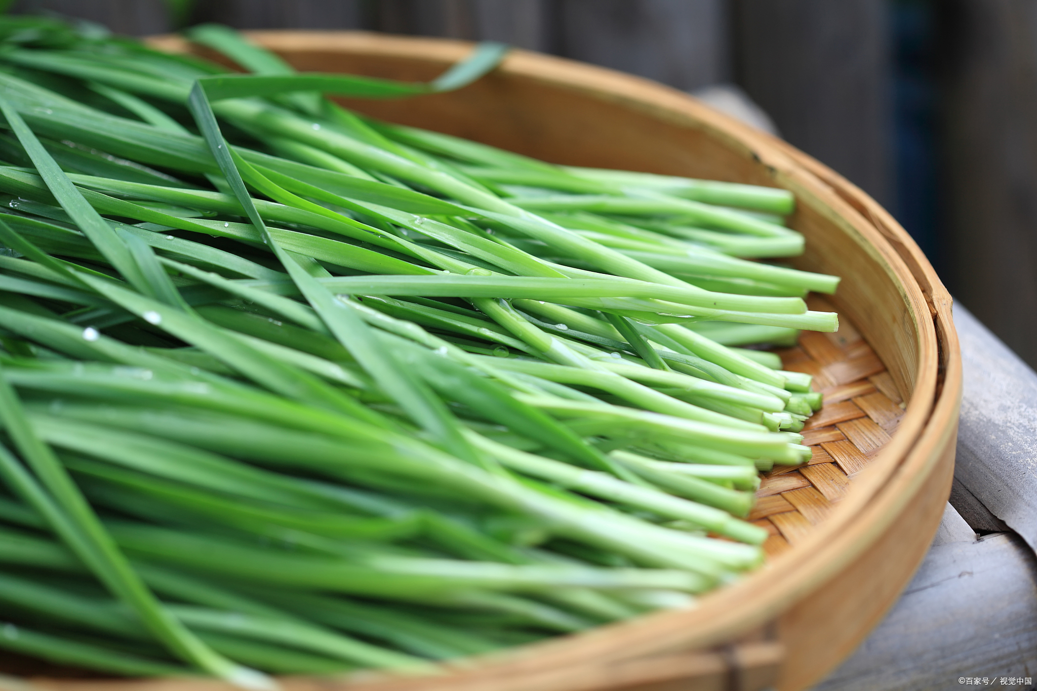 赵氏四鲜告诉你,这几种适合春天吃的食物,养生又营养!