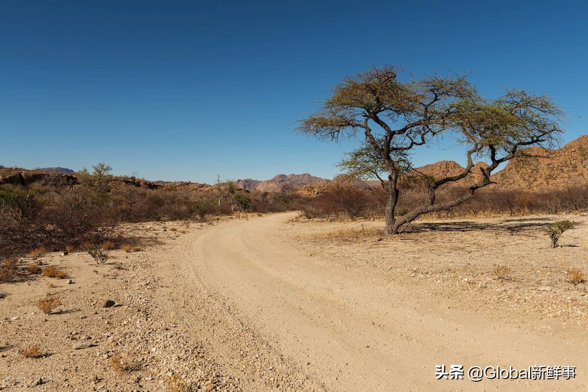 比特币成为中非共和国的官方货币