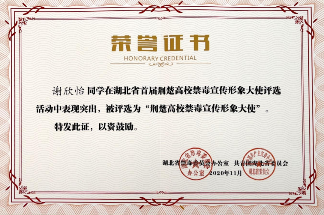 愿你所“院”｜新闻与传播学院