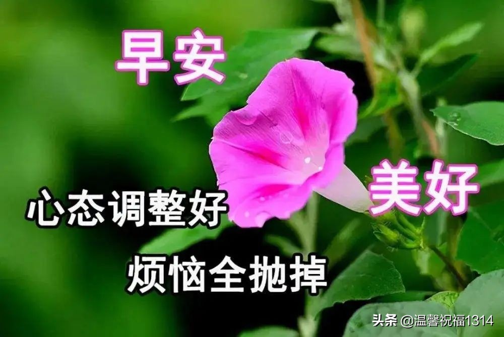 4月最新早安祝福温馨语句，星期三早晨暖心的问候语图片