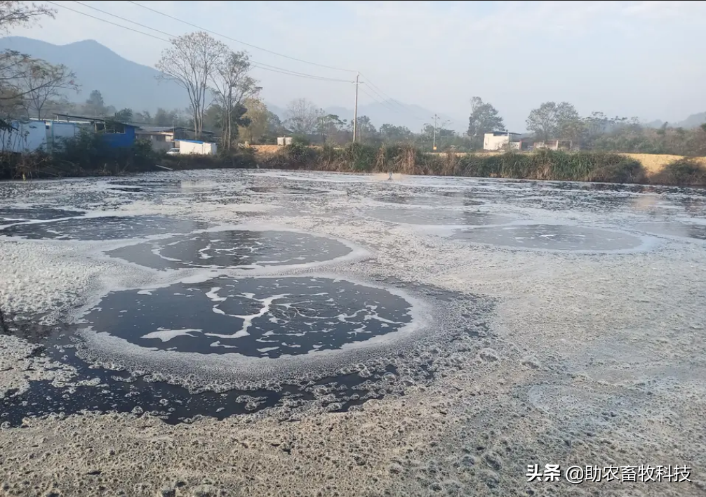 运用微生物（益生菌）除臭剂进行废水处理好处多