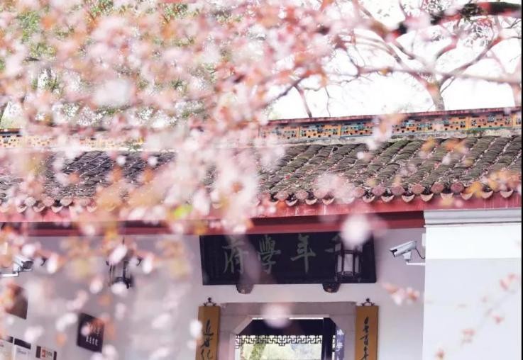 湖南这所高校：坐拥“国宝级”建筑，地铁直达校舍，随手一拍就是大片！