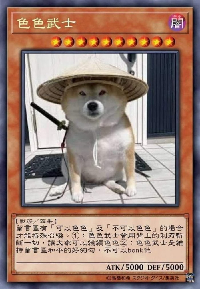 doge在聊天中什么意思(你的群聊“可以色色”吗？)