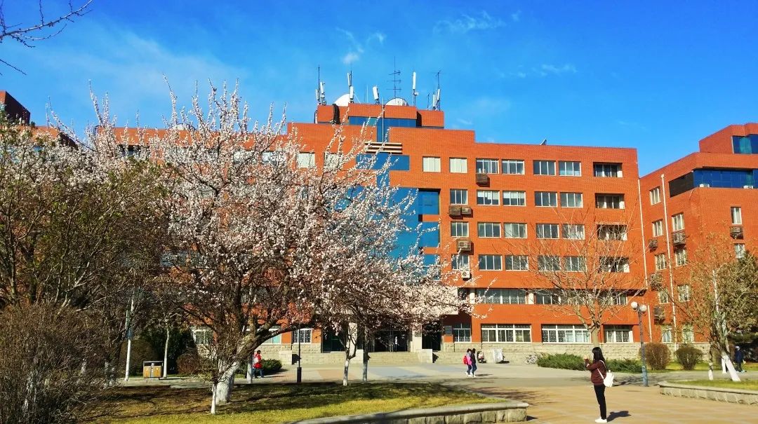 看到就报吧！这几所师范类大学的美术类专业实力强劲又好考