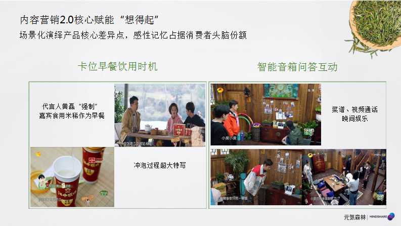 元气森林森林媒介投资规划PPT「食品饮料」「种草带货」