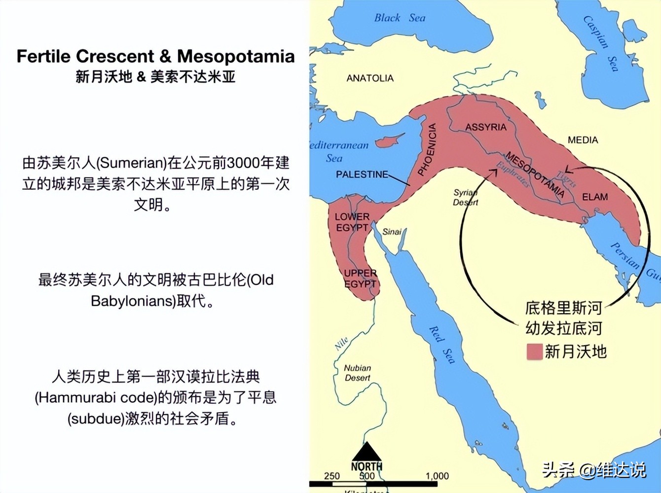 大米是水稻还是小麦（小米是水稻还是小麦）-第12张图片-科灵网