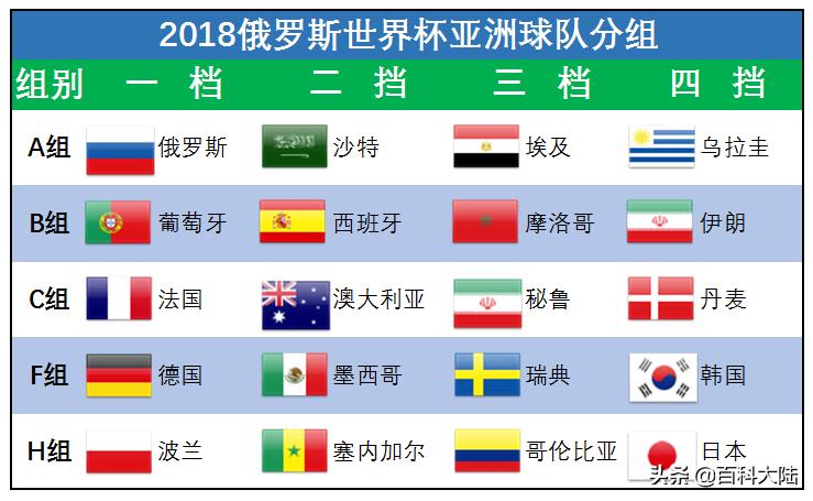 2022世界杯开赛在即，盘点近六届亚洲球队的世界杯旅程