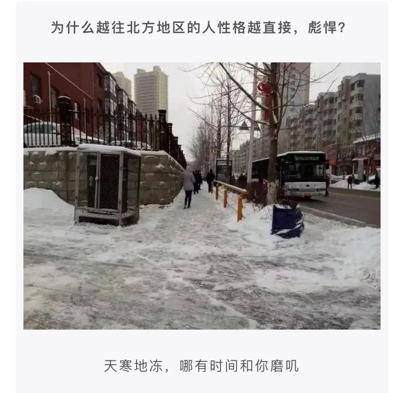 神评段子合集：准备拜访老丈人，提这些礼品过去一定会夸我懂事