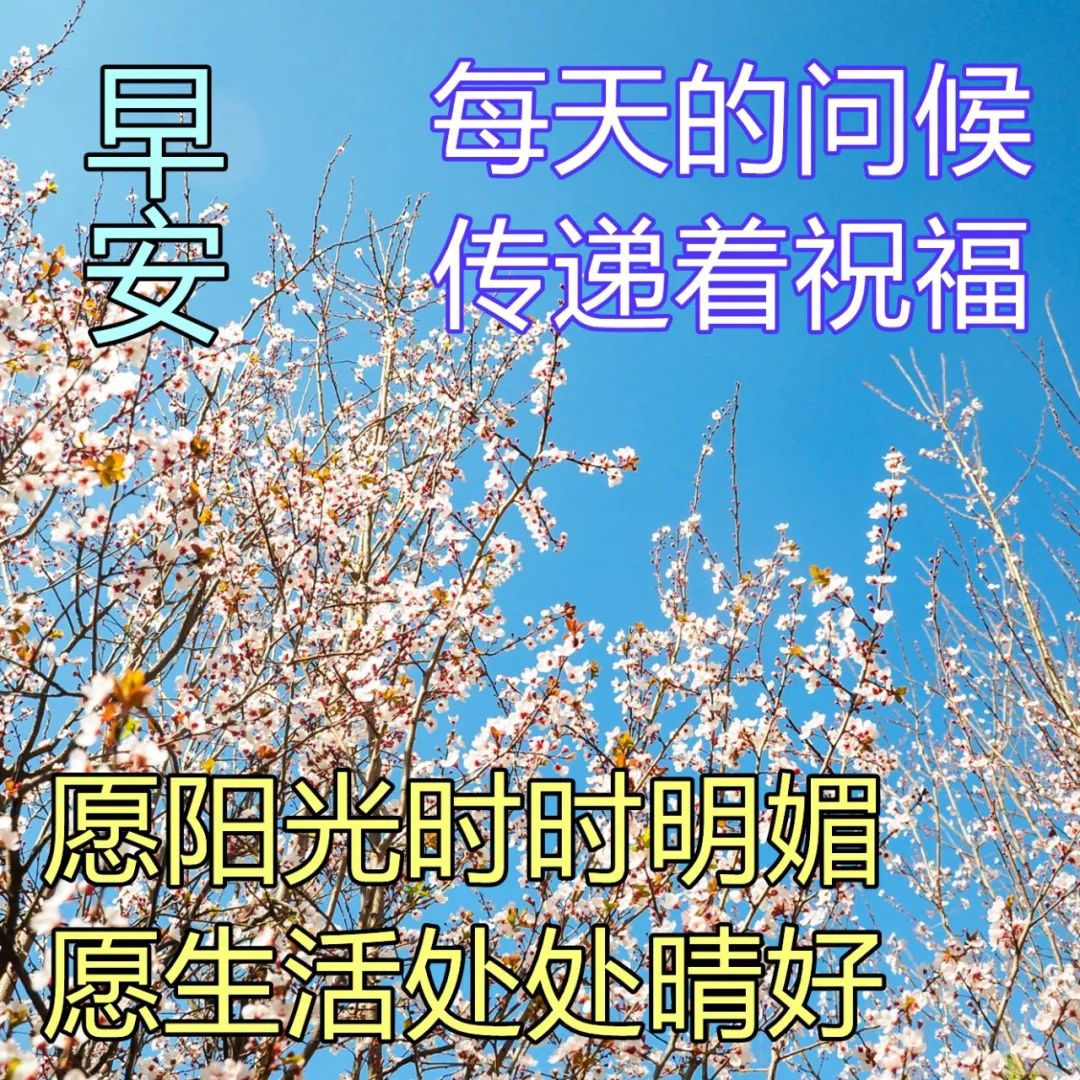 今天心情特别开心短句(2022.3.25早安心语，早上好正能量问候祝福语录，天天开心)