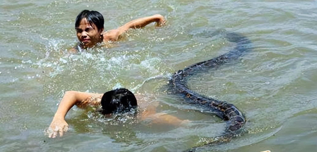 关于蛇的成语 形容蛇的成语不带蛇字 - 北京百科网