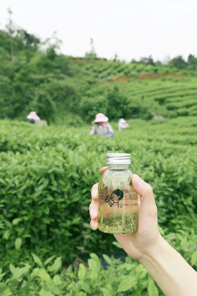 告別30元，喜茶全面下調(diào)飲品價格且宣布今年不漲價