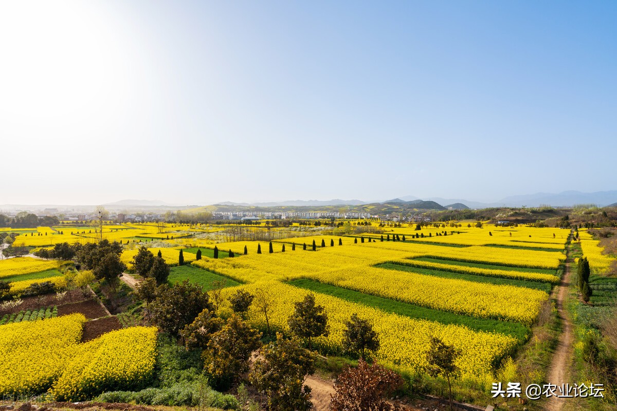陜西省2022年耕地地力保護(hù)補(bǔ)貼標(biāo)準(zhǔn)是多少？各地每畝補(bǔ)貼多少錢？