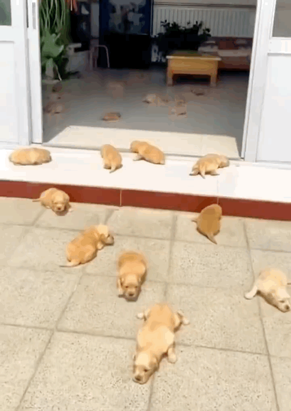 周杰伦新专辑为了显瘦有多心机？郎朗：我没惹你们任何人.