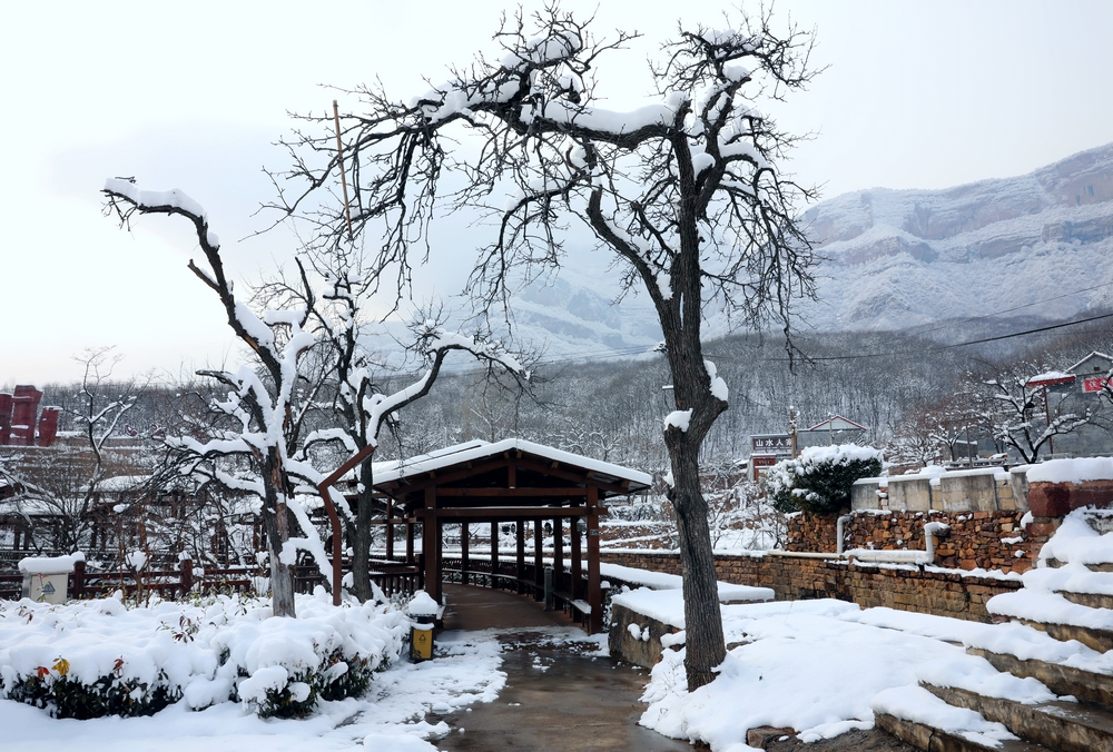 雪后的太行山森林运动公园,飞雪轻舞,翠竹炊烟,素净而艳丽