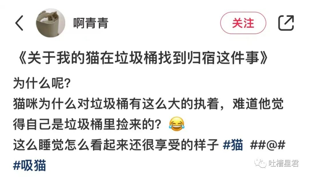 周杰伦新专辑为了显瘦有多心机？郎朗：我没惹你们任何人.