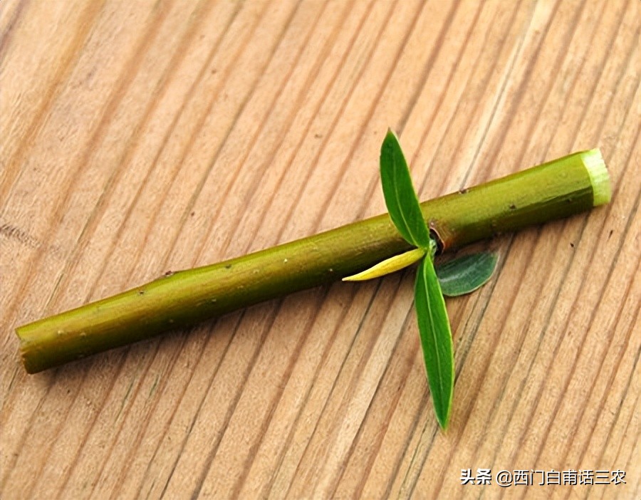 ôֹϣômeֹҧ-Ʒge