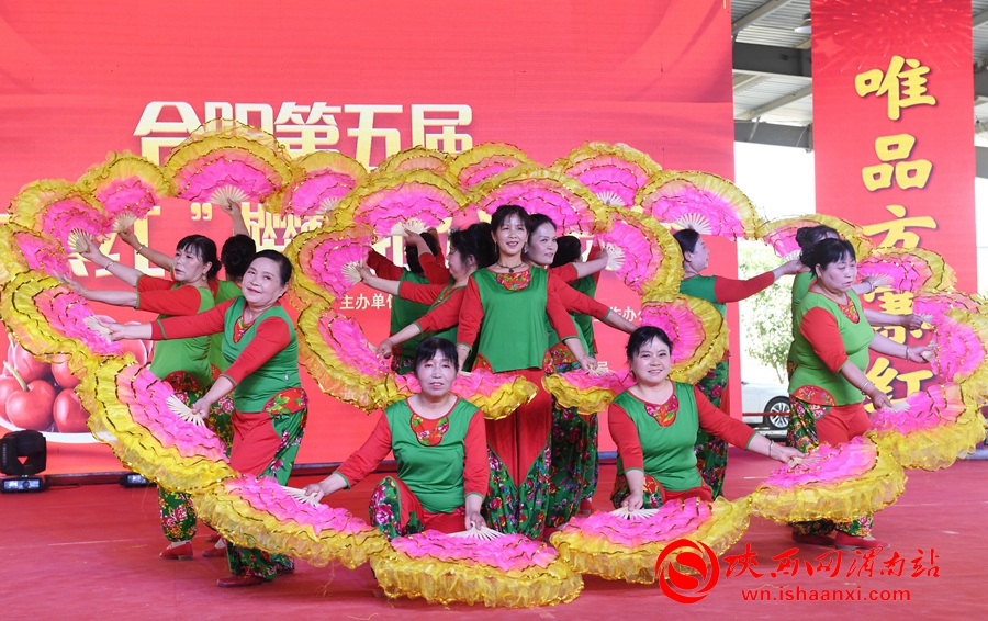 櫻桃千萬家 唯品方寨紅 合陽第五屆“方寨紅”櫻桃推介會舉辦（高清組圖）
