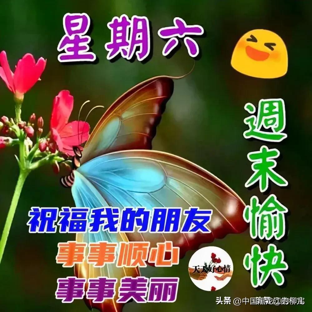 周末愉快最简单一句话唯美句子(周末愉快最简单一句话唯美句子 )