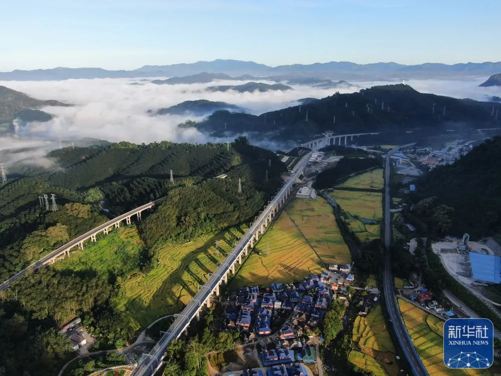 中国vs老挝(惊艳！中老铁路正式通车，老挝人民搭上中国的快车奔向诗和远方)