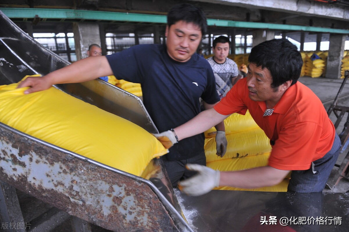 甘肃今日尿素最新价格，甘肃今日头条新闻网